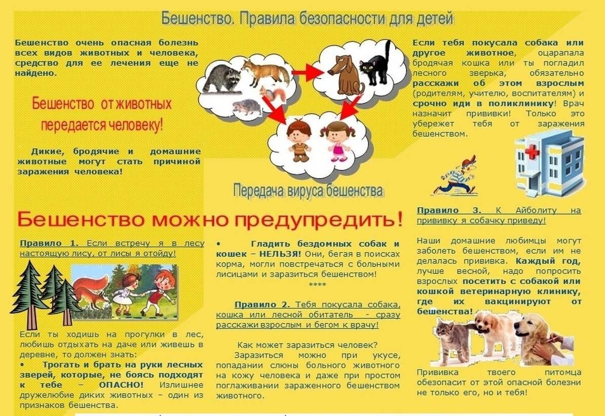 Изображения.