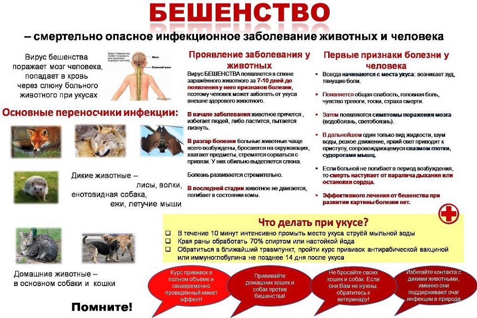 Изображения.