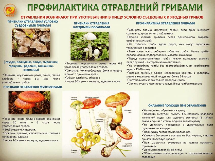Изображения.