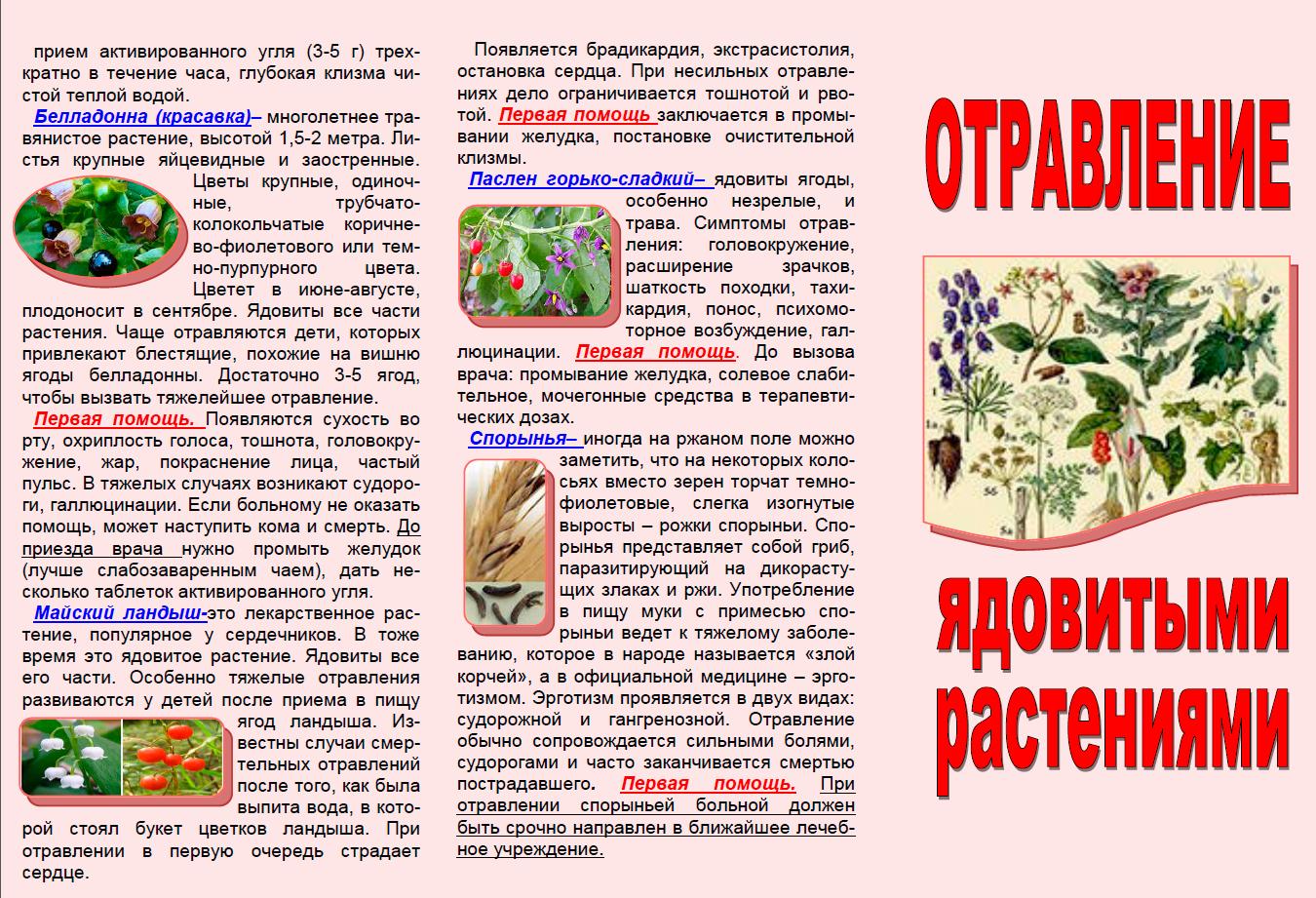 Изображения.