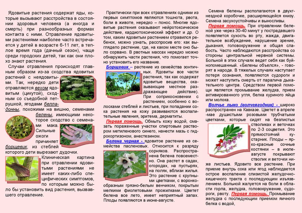 Изображения.