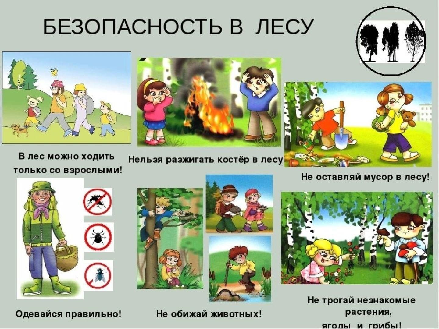 Изображения.