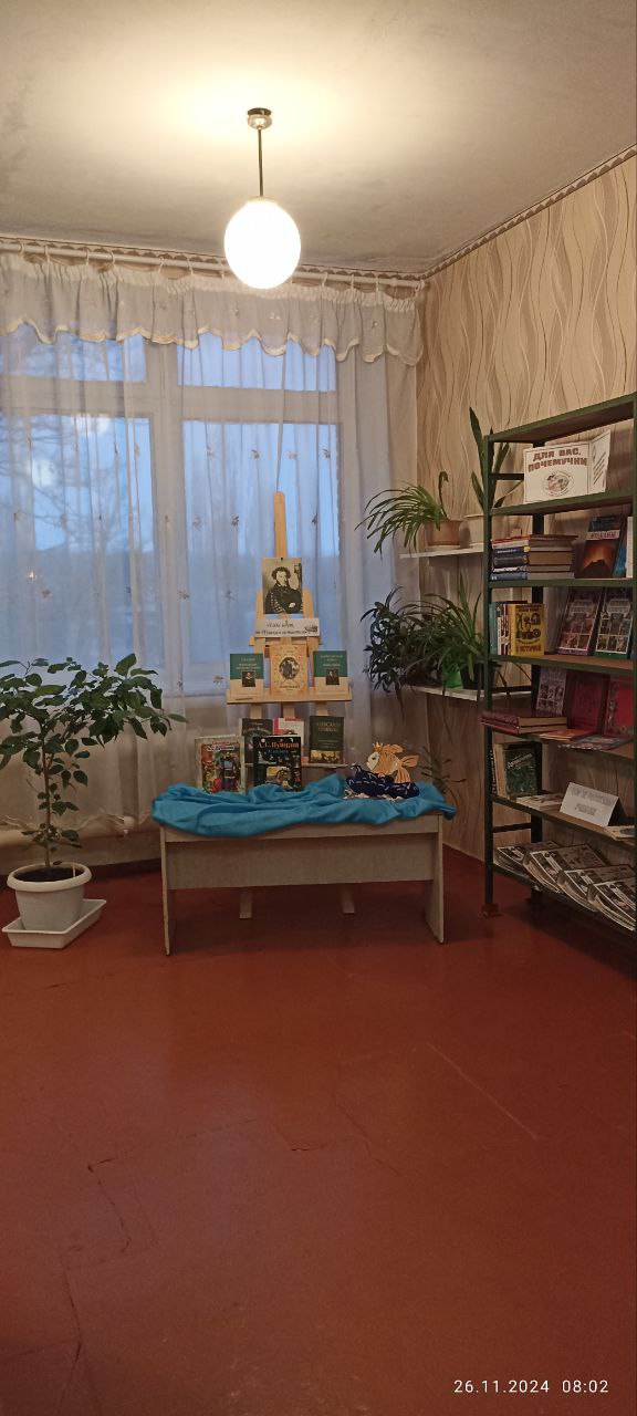Библиотека.